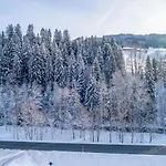 Blick Auf Den Rettenstein 2 Daire