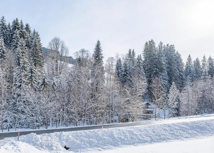 Blick Auf Den Rettenstein 2 Apartamento Kirchberg in Tirol