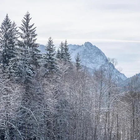 Blick Auf Den Rettenstein 2 Appartement Kirchberg in Tirol