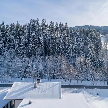 Appartement Blick Auf Den Rettenstein 2 *